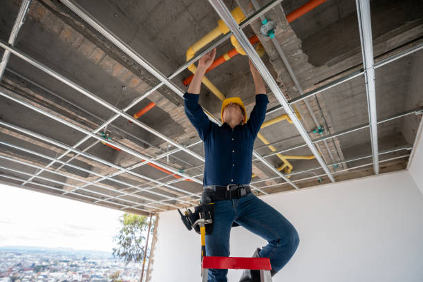 Best Best Plumbers Near Me  in Orangetree, FL