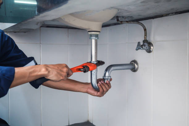 Best Residential Plumbing Services  in Orangetree, FL