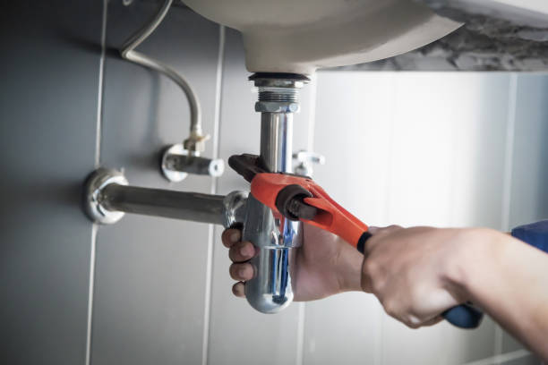 Best Local Plumber Services  in Orangetree, FL